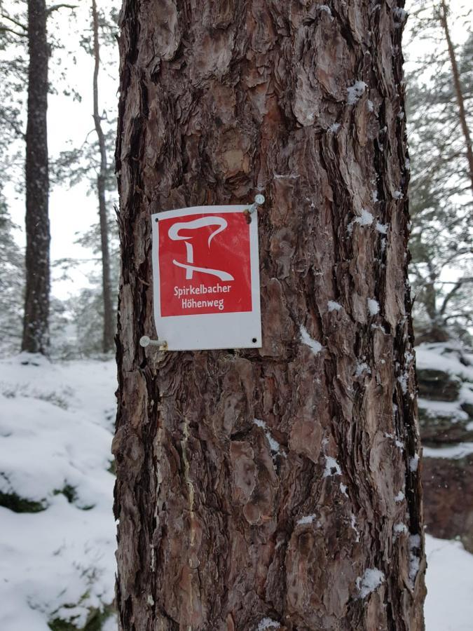 Höllenbergblick Spirkelbach Exteriör bild