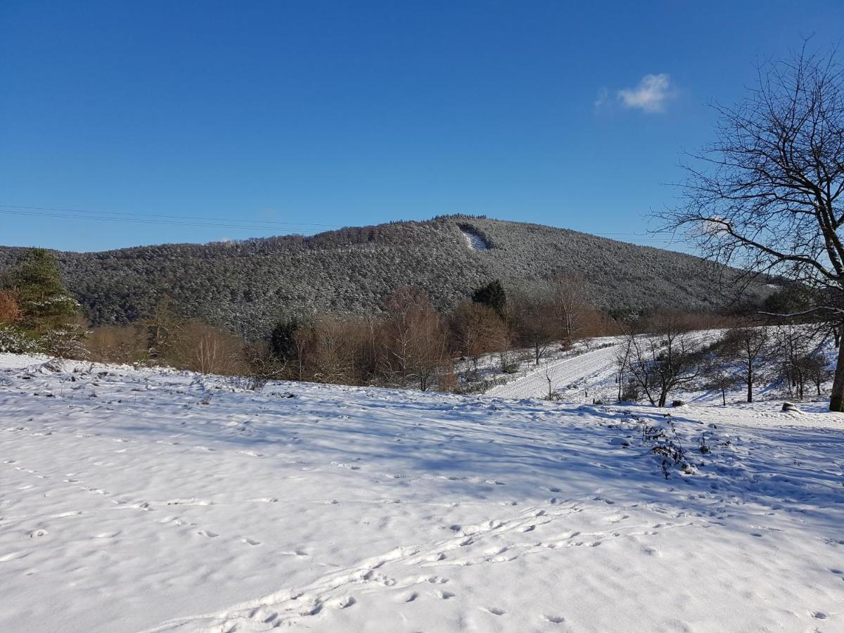 Höllenbergblick Spirkelbach Exteriör bild